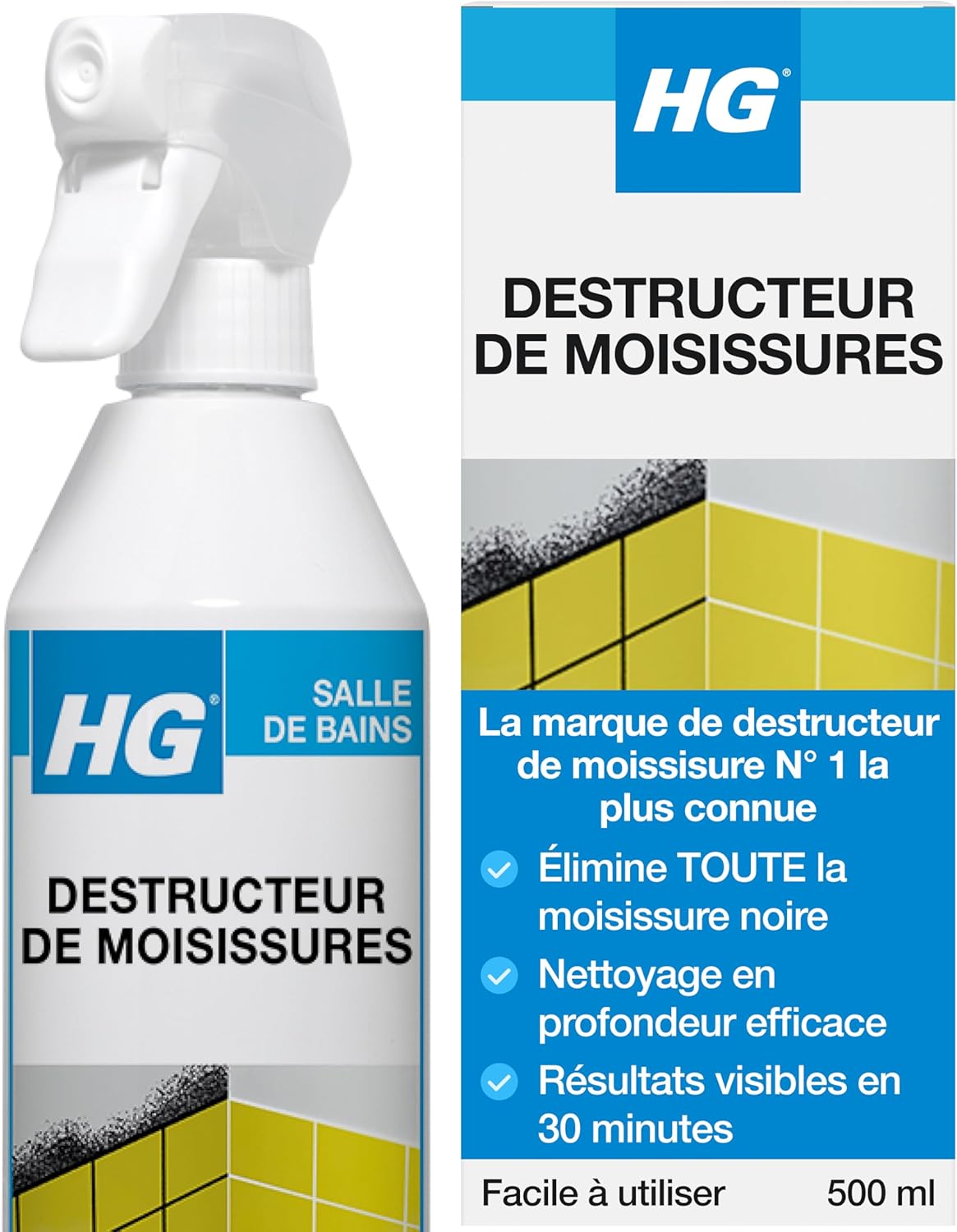 HG Mousse Anti-Moisissure